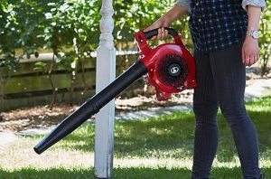 Kubota Handheld Blower