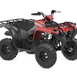Yamaha Grizzly 110